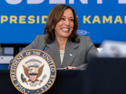 Vice President Kamala Harris participates in a roundtable discussion with public servants