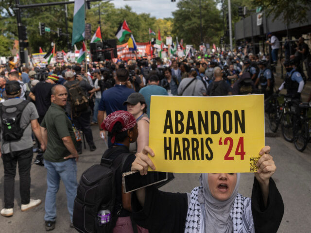 A protesters holds an anti-Harris sign reading "Abandon Harris '24" as she