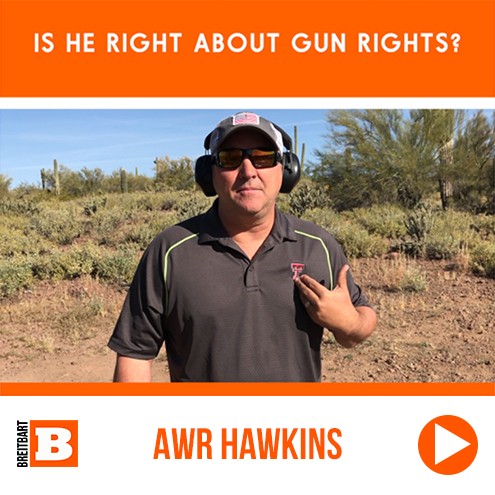 WE ARE BREITBART - AWR Hawkins